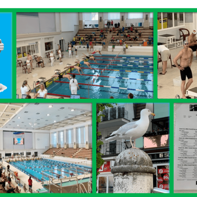 Collage mit Schwimm-Event: Schwimmer, Zuschauer, Ergebnistabelle und eine M&ouml;we auf einem Pfeiler.