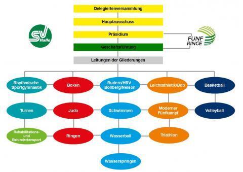 Organigramm des SV Halle mit einer &Uuml;bersicht der verschiedenen Sportarten und Leitungsgremien.