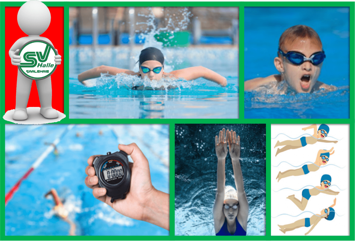 Collage mit Schwimmern im Wasser, Stopuhr in Hand und Schwimmtechnik-Illustrationen. SV Halle Logo oben links.