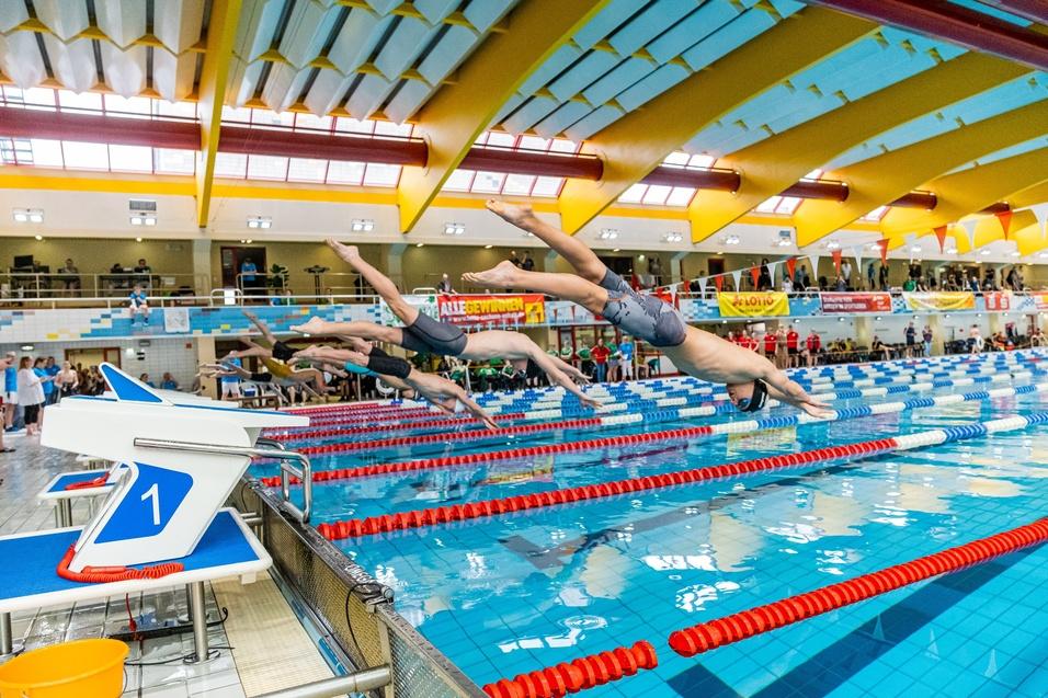 Wettkampf-Schwimmer springen gleichzeitig ins Wasser von der Startblöcken in einem Trainingsschwimmbad.