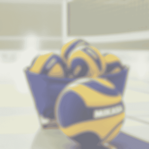 Volleyballs in einer blauen Wanne auf einem Volleyballplatz, mit Netz im Hintergrund.