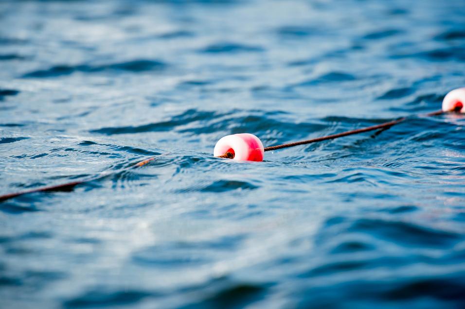 Rote Schwimmboje auf einer Schnur schwimmt auf der welligen Wasseroberfläche.